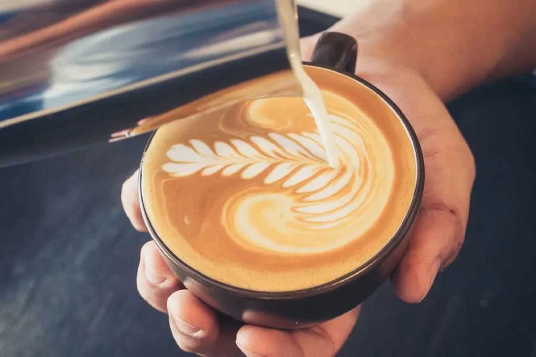 Australia: A Charming Country of Multiculture and Free Living